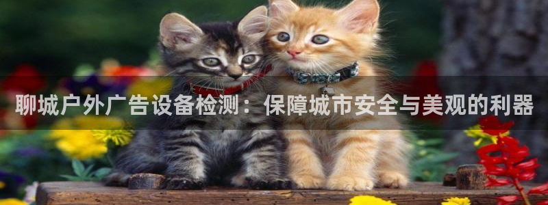杏宇平台代理