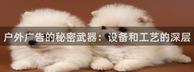 杏宇平台代理怎么样赚钱