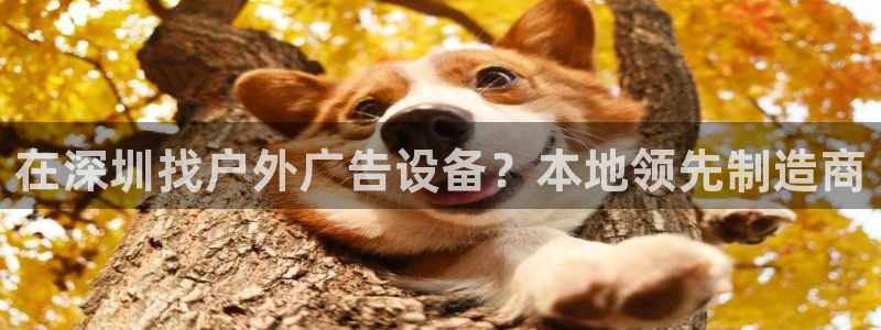 杏宇平台代理怎么样