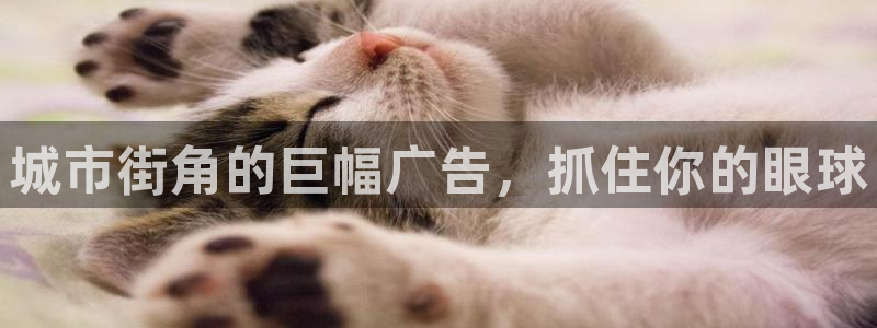 杏宇平台注册地址在哪里