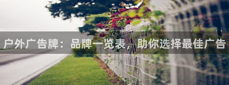 杏宇平台测速链接
