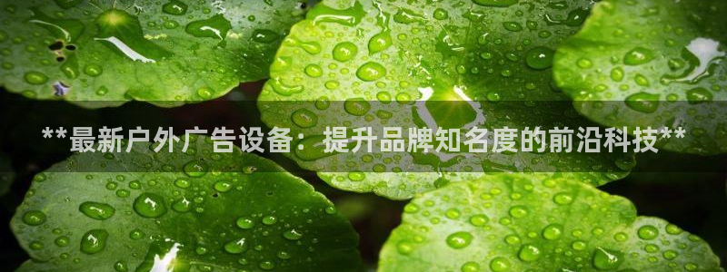 杏宇官方平台官网