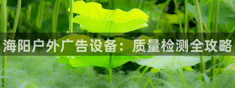 杏宇平台登录步骤图