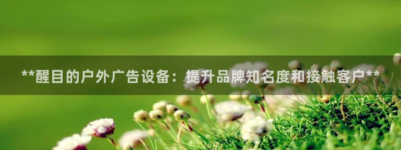 杏宇平台测速链接