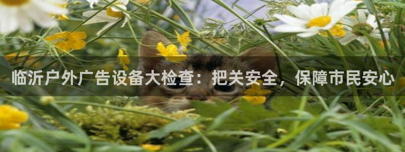 杏宇平台总代理电话