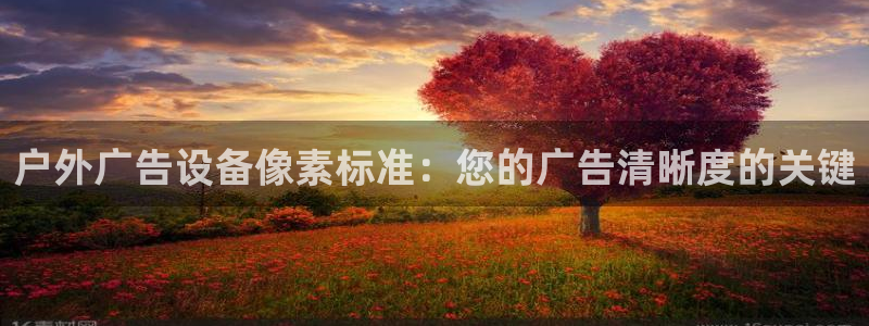 杏宇平台注册登录