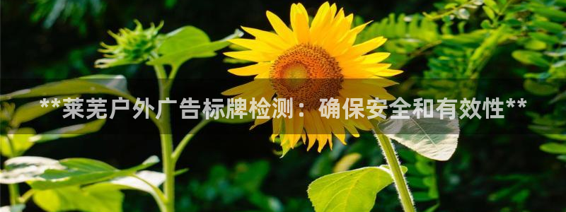 杏宇平台代理怎么赚钱快