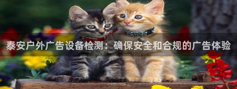 杏宇平台总代理电话