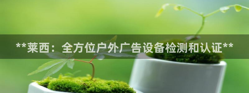 杏宇平台招商怎么样
