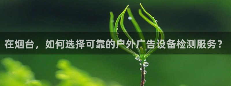 杏宇平台怎么样赚钱