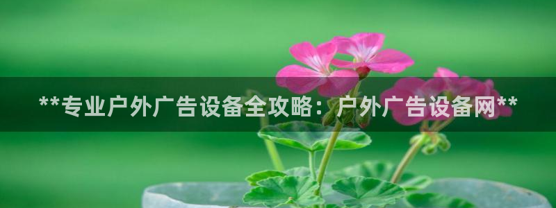 杏宇平台注册登录