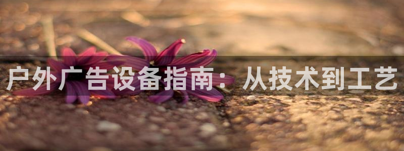 杏宇平台代理怎么样