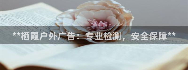 杏宇平台总代理电话
