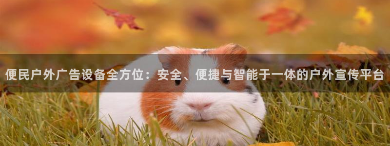 杏宇平台代理怎么样赚钱