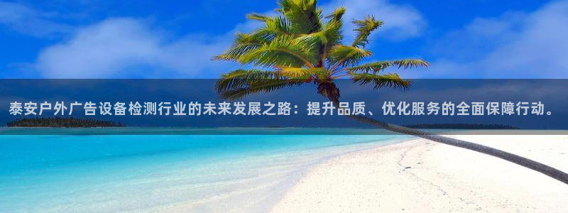 杏宇平台是什么：泰安户外广告设备检测行业