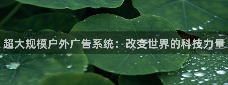 杏宇平台代理怎么样可靠吗：超大规模户外广