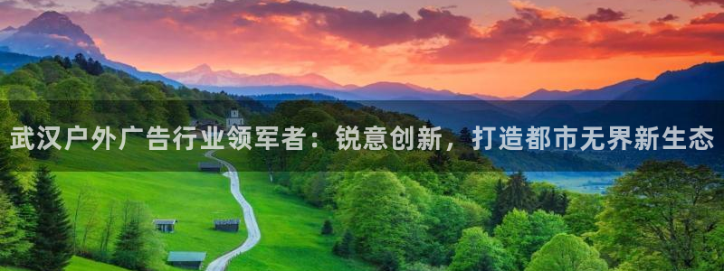 杏宇平台代理多少钱一个月：武汉户外广告行