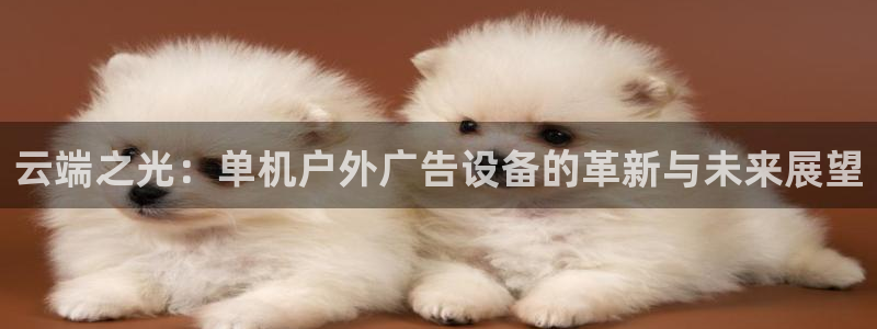 杏宇平台怎么样赚钱：云端之光：单机户外广