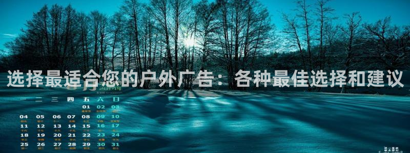 杏宇平台是什么：选择最适合您的户外广告：