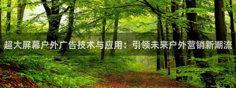杏宇平台代理多少钱一次：超大屏幕户外广告