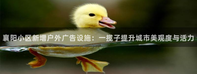 杏宇官方平台官网下载：襄阳小区新增户外广告设施：一揽子提升城市美观度与活力