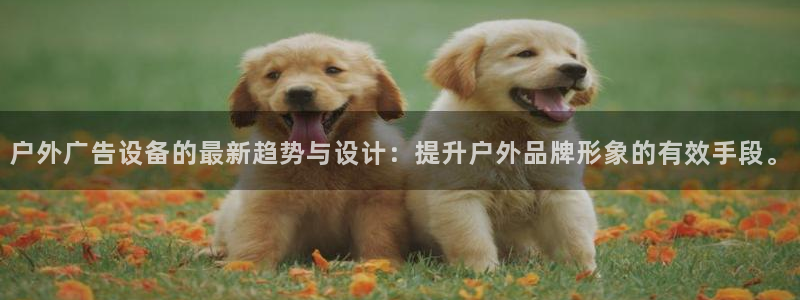 杏宇平台主管:户外广告设备的最新趋势与设 杏宇平台主管:户外广告设备的最新趋势与设