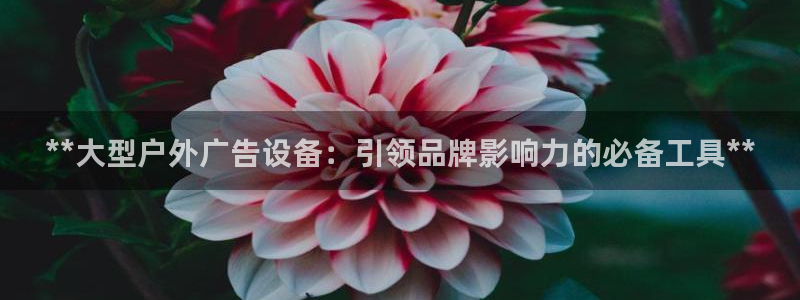 杏宇平台注册地址：**大型户外广告设备：